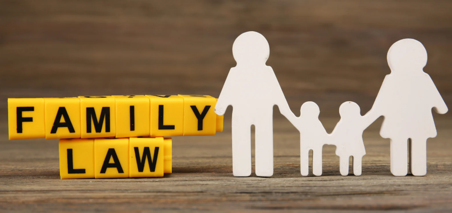 263Q08 - Family Law Conference